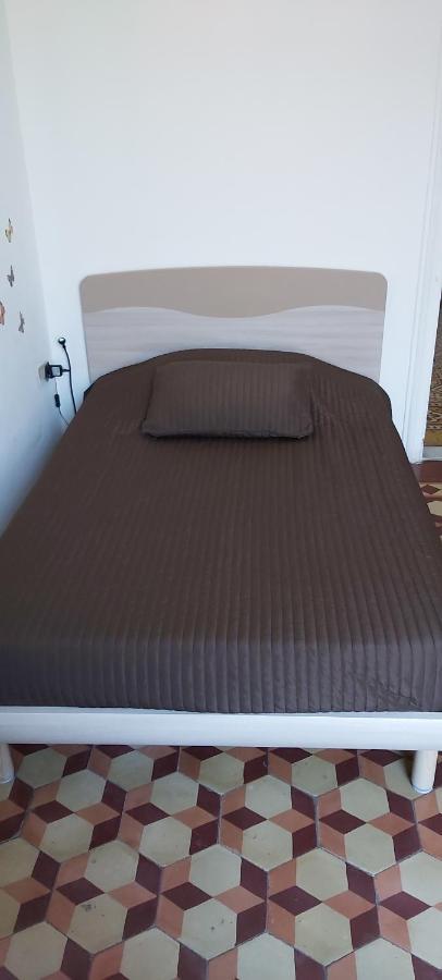 Arena Alfieri B&B ลีวอร์โน ภายนอก รูปภาพ