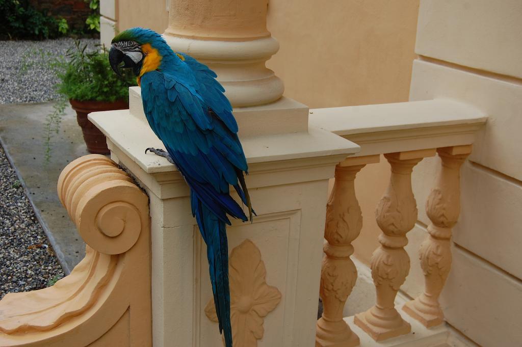 Arena Alfieri B&B ลีวอร์โน ภายนอก รูปภาพ
